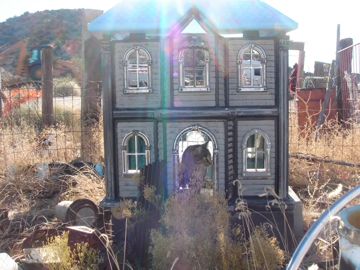 Tiny Town on Highway 14, and one of its dollhouses, with a resident cat.